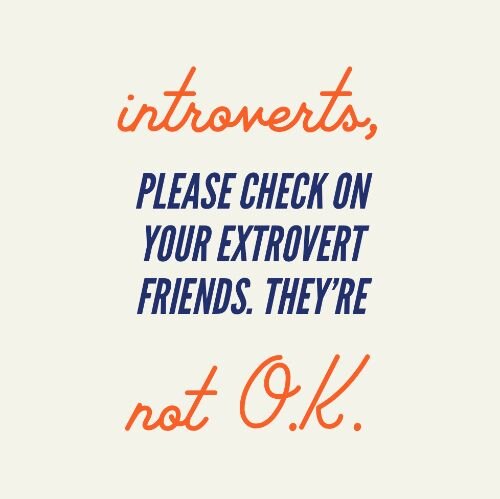 IG6969-Quarantine Funnies Introvert Digital Graphic.jpg