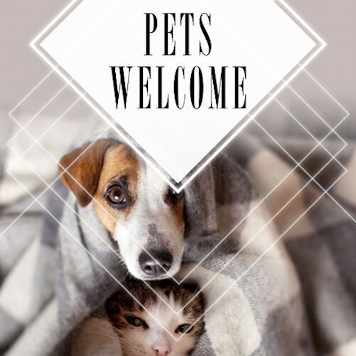 IG6898-Fresh Spring FC Pet Outreach Digital Graphic.jpg