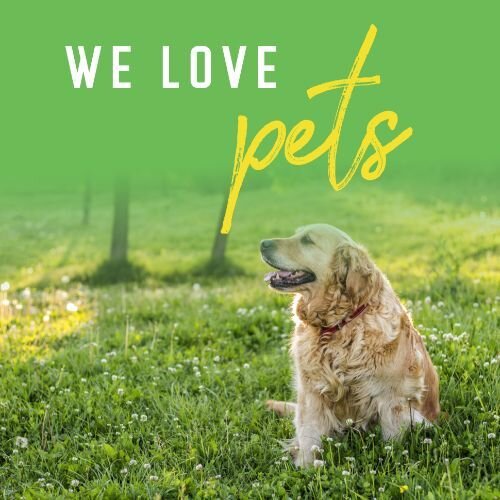 IG6899-Dandelion FC Pet Outreach Digital Graphic.jpg