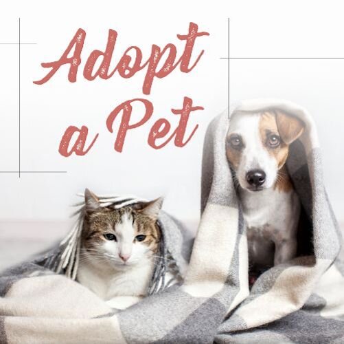 IG6984-Adoption Drive Digital Graphic.jpg