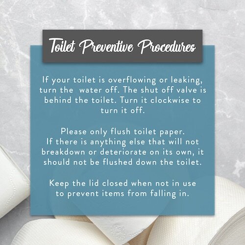 IG6978-Toilet Preventive Procedures Digital Graphic.jpg