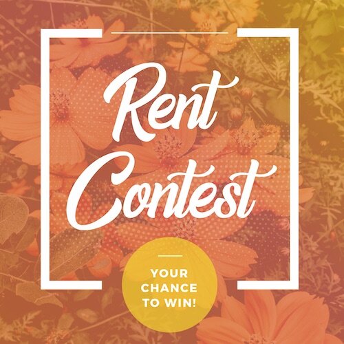 IG7138-Rent Contest Orange Digital Graphic.jpg