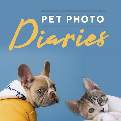 IG7156-Pet Photo Diaries Digital Graphic.jpg