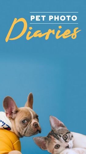 IGS567-IGStory Pet Photo Diaries.jpg
