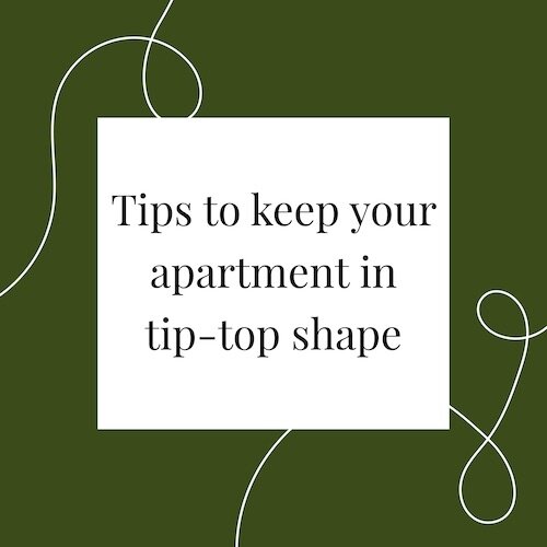 IG7162-Apartment Tips Digital Graphic.jpg
