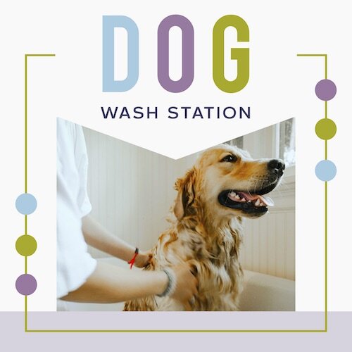 IG7197-Lavender FC Dog Wash Digital Graphic.jpg