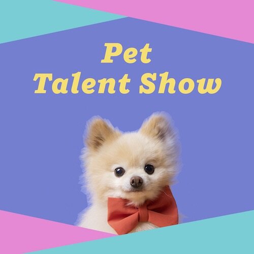 IG7199-Pet Talent Show Digital Graphic.jpg