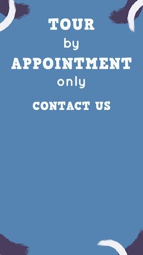 IGS588-IGStory Tour by Appointment.jpg