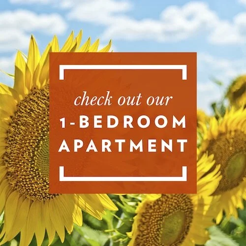 IG7251-Summer Tour 1 Bedroom Digital Graphic.jpg