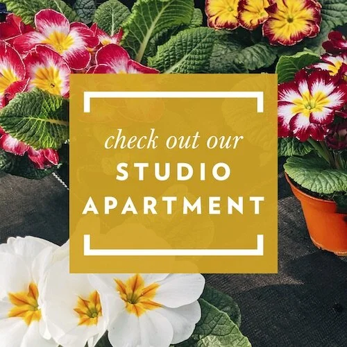 IG7254-Summer Tour Studio Bedroom Digital Graphic.jpg