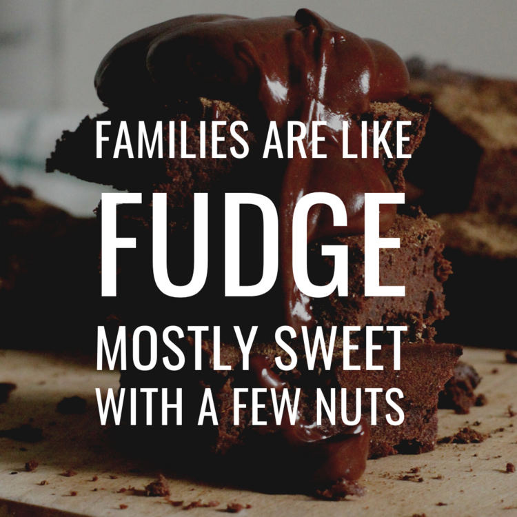 IG7291-Family Like Fudge Digital Graphic.png