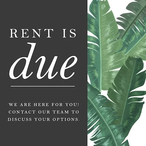 IG7347-Simply Summer FC Rent is Due Digital Graphic.jpg