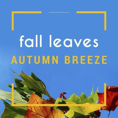 IG7528-Fall Leaves Autumn Breeze Digital Graphic.jpg