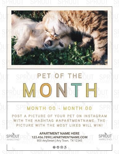25677-Colorful Fall FC Pet of Month.jpg