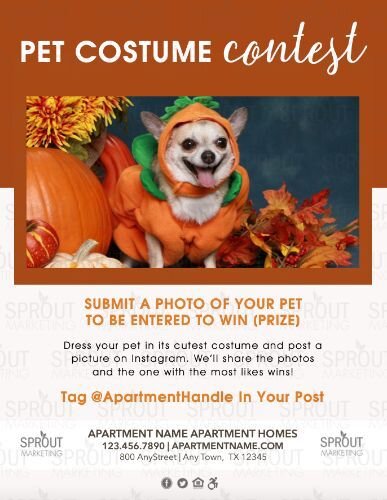 25715-Pet Costume Contest.jpg