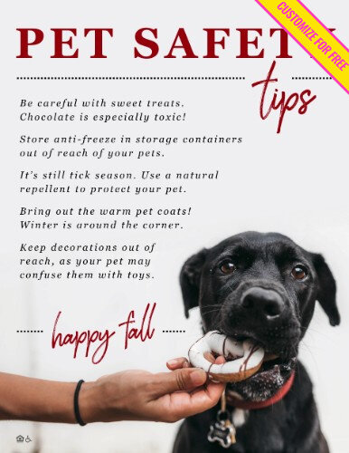 60655-Pet+Safety+(1).jpg