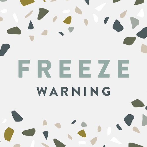 IG7959-Abstract Winter Freeze Digital Graphic.jpg
