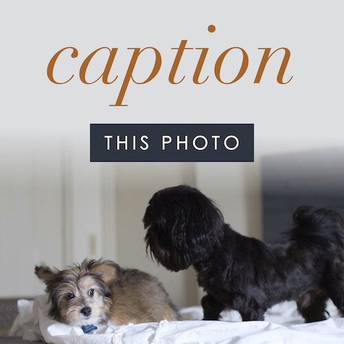 IG7973-December Core Caption Digital Graphic.jpg