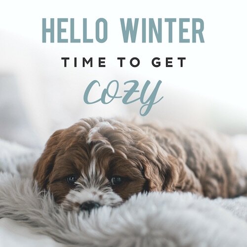 IG7991-Hello Winter Get Cozy Digital Graphic.jpg