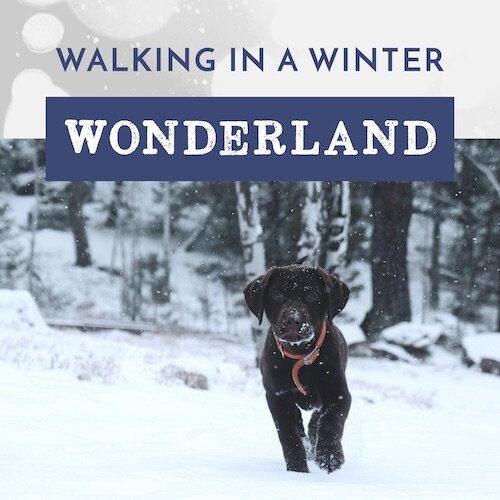 IG8016-Winter Wonderland Digital Graphic.jpg