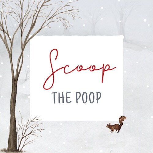 IG8031-Fantastic Winter FC Scoop Poop Digital Graphic.jpg