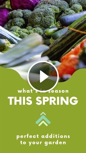 IGVD1075-IGStory Produce In Season Spring.jpg