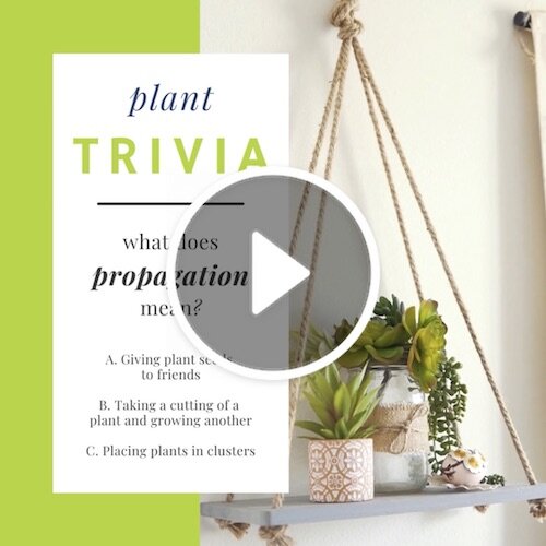 VD1236-Plant Trivia Propagation.jpg