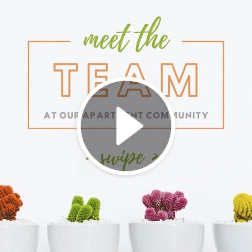 VD1251-Meet the Team.jpg