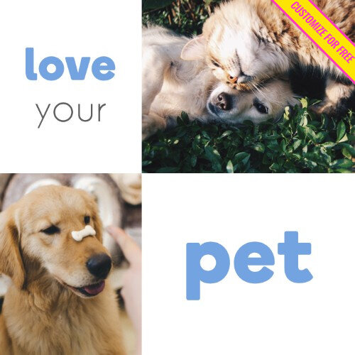 IG4661-Spring+Grid+FC+Pet+Digital+Graphic.jpeg