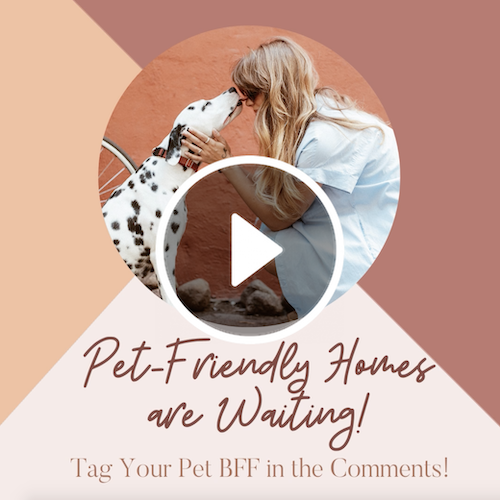 VD1279 - Pet Friendly Homes.png