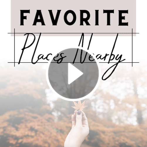 VD1280 - Fall Neighborhood Spotlight.png