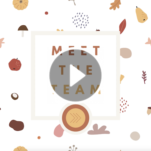 VD1282 - Abstract Fall Meet The Team.png