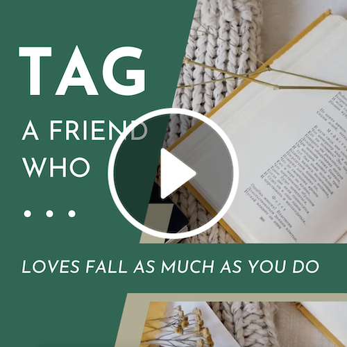 VD1283 - Fall Tag A Friend.png