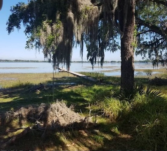 Stock Photo Avon Park Florida Lake.jpg