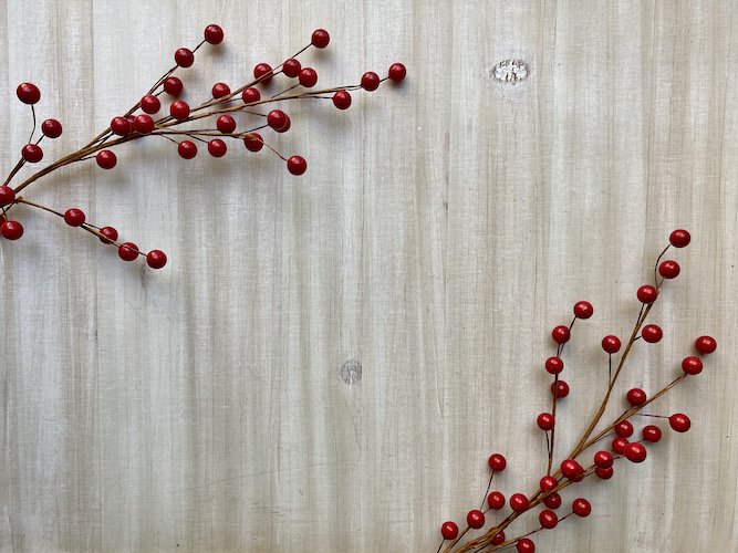 Stock Photo Winter Berries Tabletop Background 2.jpeg