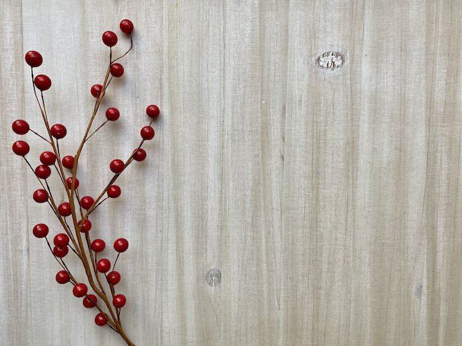 Stock Photo Winter Berries Tabletop Background 3.jpeg