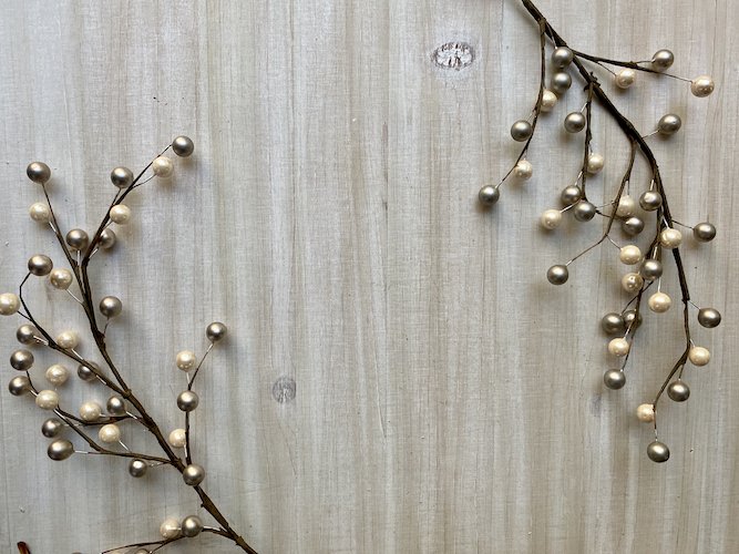 Stock Photo Winter Berries Tabletop Background.jpeg