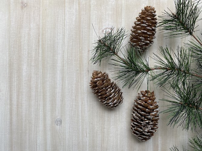 Stock Photo Winter Pine Tabletop Background.jpeg