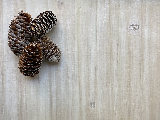 Stock Photo Winter Pinecone Tabletop Background.jpeg