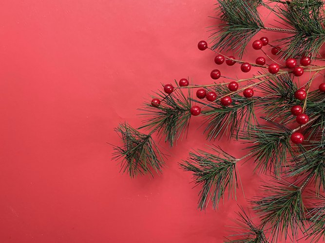 Stock Photo Winter Red Pine Berries Tabletop Background 2.jpeg