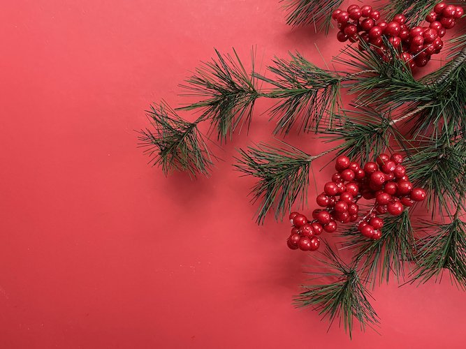 Stock Photo Winter Red Pine Berries Tabletop Background.jpeg