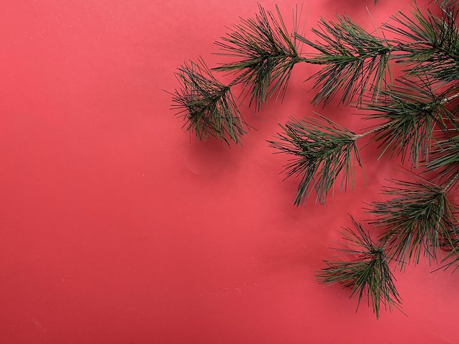 Stock Photo Winter Red Pine Tabletop Background.jpeg