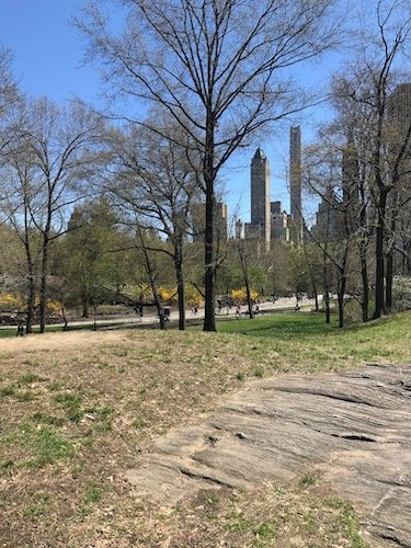 Stock Photo Central Park NYC.jpg