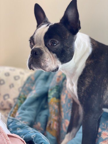 Stock Photo Blanket.jpg