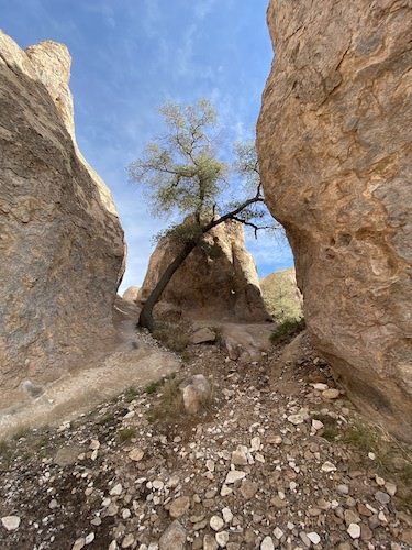 Stock Photo City of Rocks New Mexico.jpg