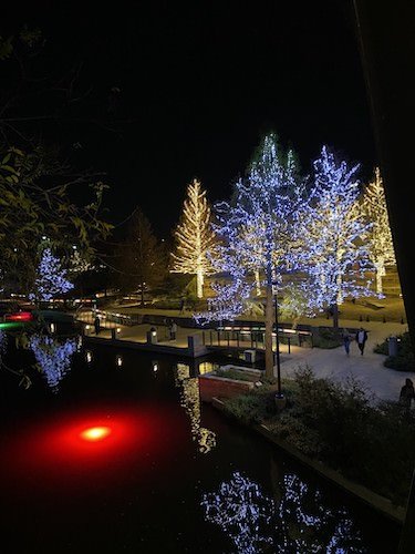 Stock Photo Lit Trees The Pearl Texas.jpg
