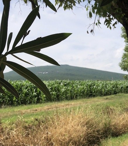 Stock Photo Fields Mexico.jpg