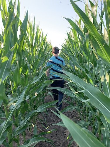 Stock Photo Boy Corn Field.jpg