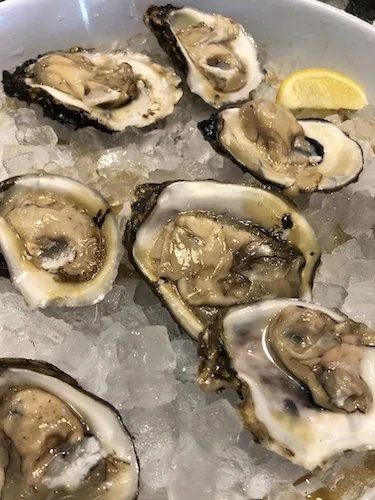 Stock Photo Oyster Half Shell.jpg