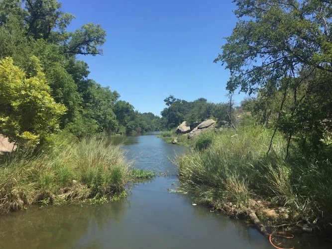Stock Photo Texas River.jpg